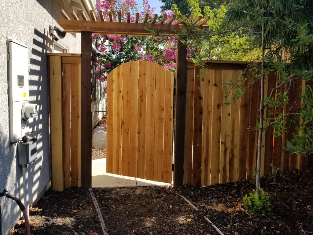 20180817_101245-1--1766077890641-xawx4g